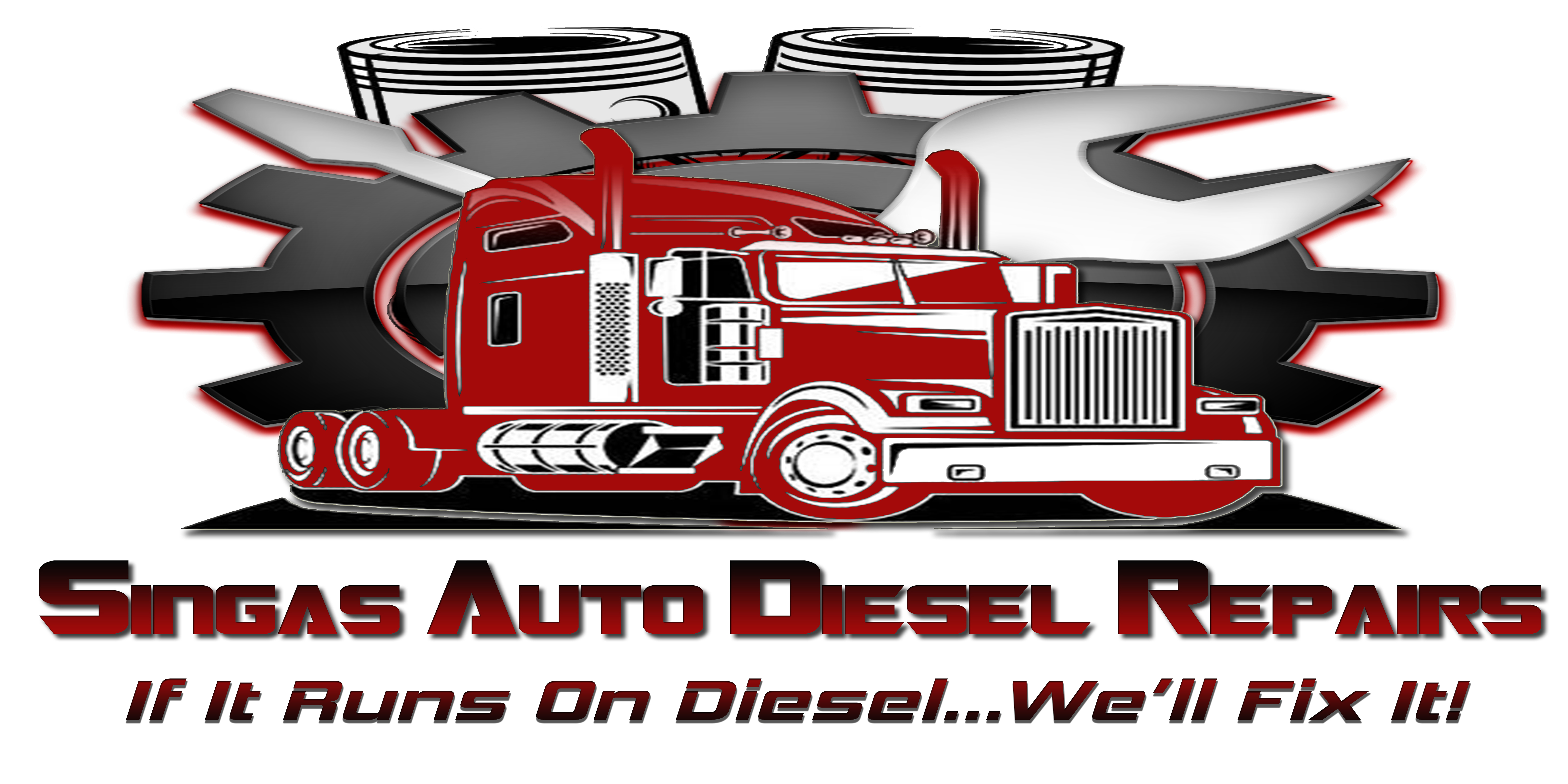 singas auto  diesel repairs